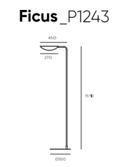Aromas FICUS_P1243 - 3
