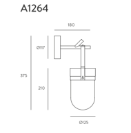 Aromas ALMON_A1264 - 3