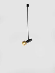 Aromas FOCUS _C1279/1 - 2