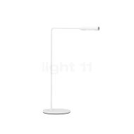 Lumina Flo Lounge - 3