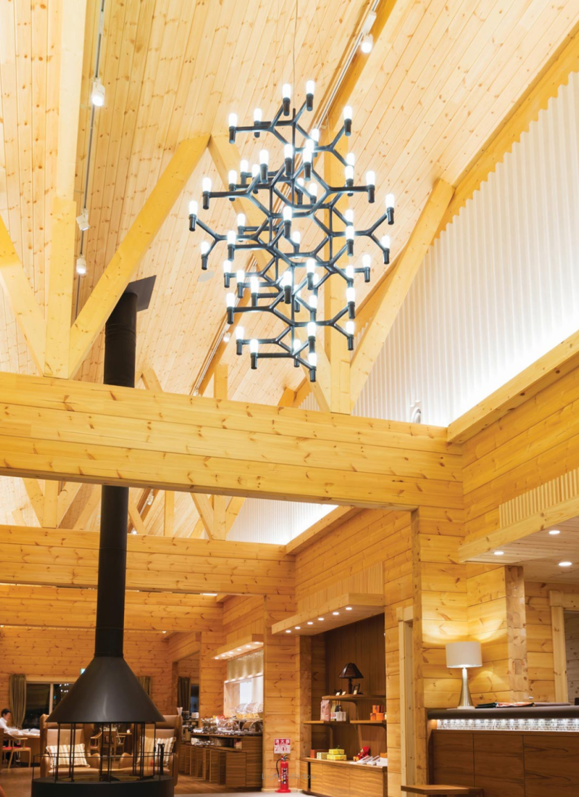 Nemo CROWN SUMMA suspension 