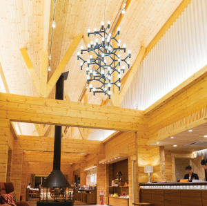 Nemo CROWN SUMMA suspension 