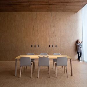 Vibia WIREFLOW LINEAL 0338 suspension